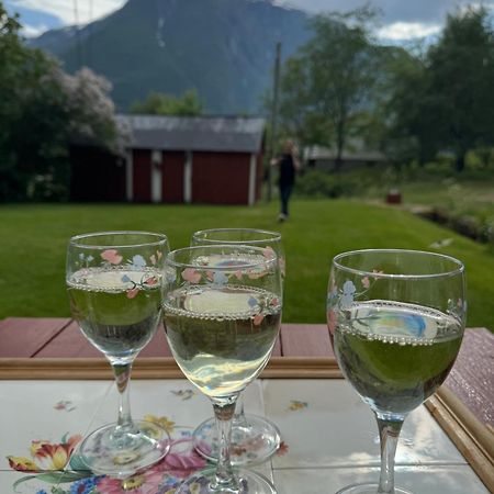 Aobrio Holidayhouse, Authentic Norwegian Farmhouse Close To Flam Laerdalsoyri Exterior photo