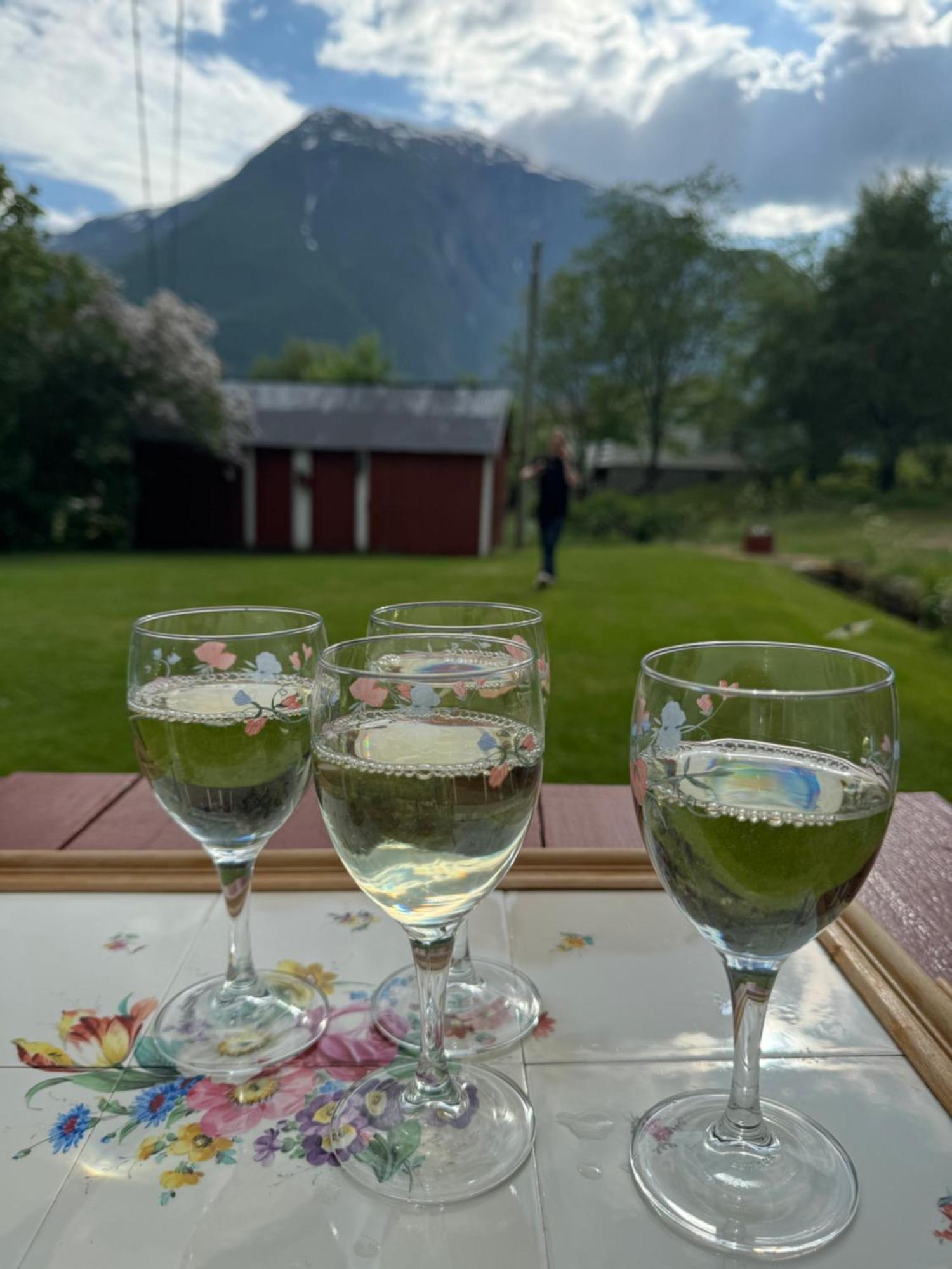 Aobrio Holidayhouse, Authentic Norwegian Farmhouse Close To Flam Laerdalsoyri Exterior photo