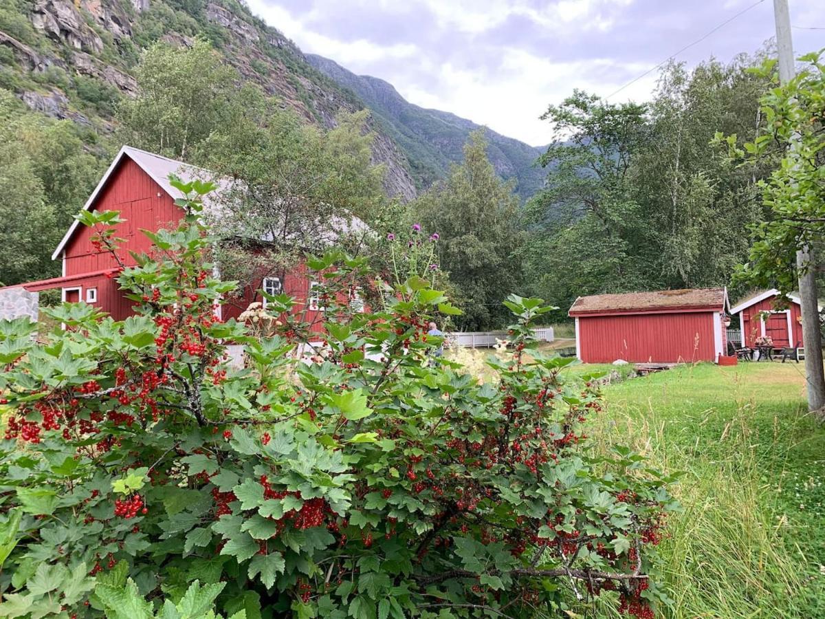 Aobrio Holidayhouse, Authentic Norwegian Farmhouse Close To Flam Laerdalsoyri Exterior photo