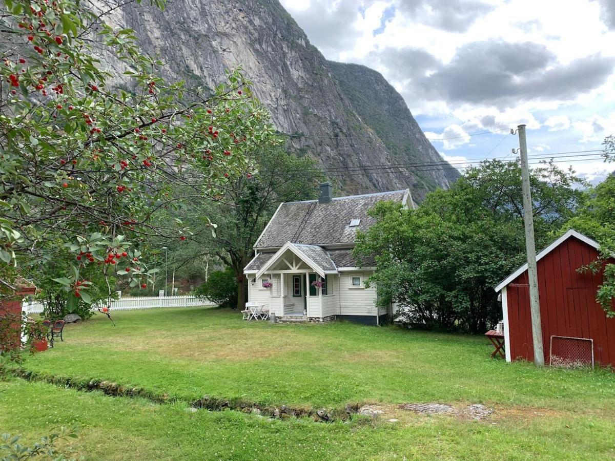 Aobrio Holidayhouse, Authentic Norwegian Farmhouse Close To Flam Laerdalsoyri Exterior photo