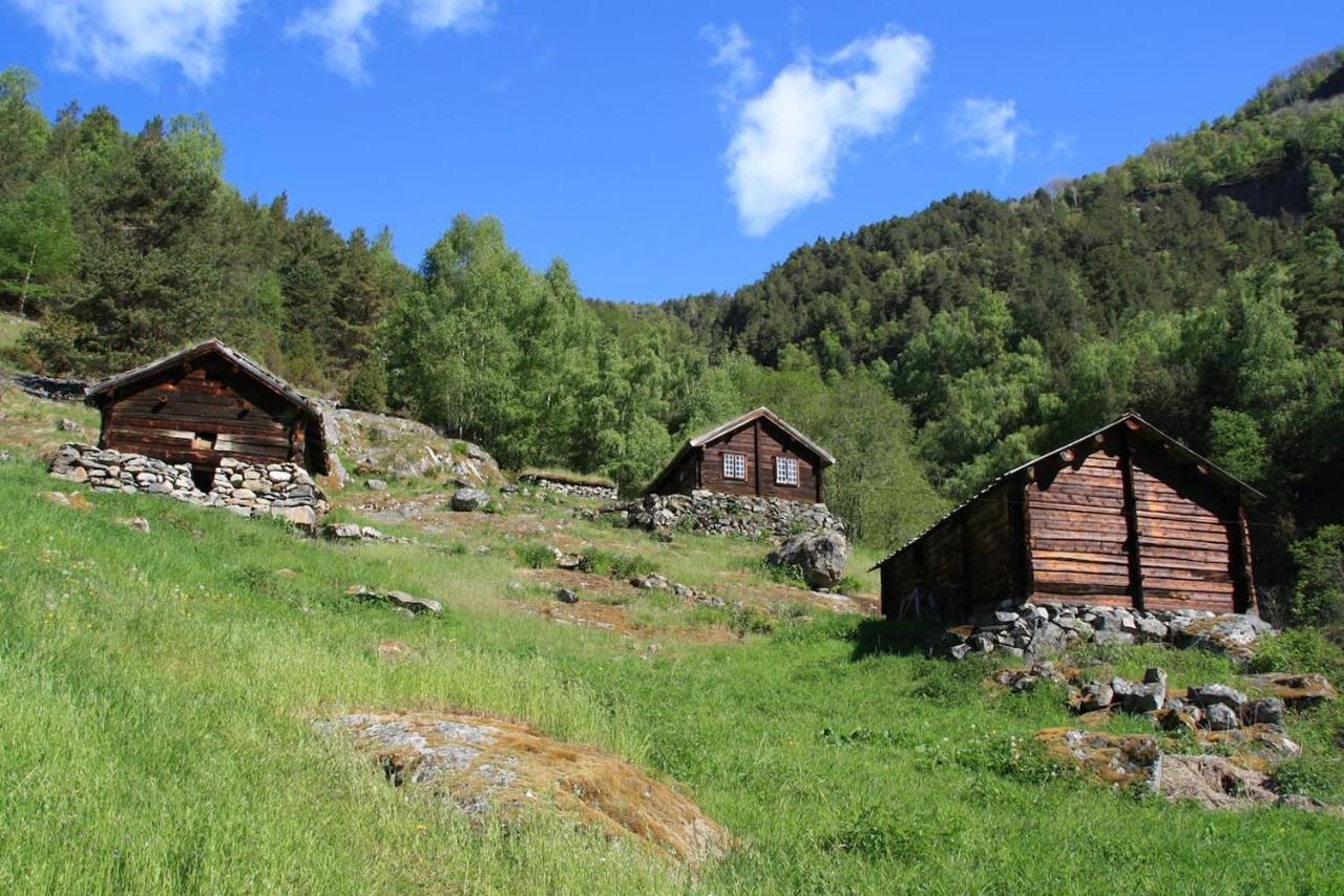 Aobrio Holidayhouse, Authentic Norwegian Farmhouse Close To Flam Laerdalsoyri Exterior photo