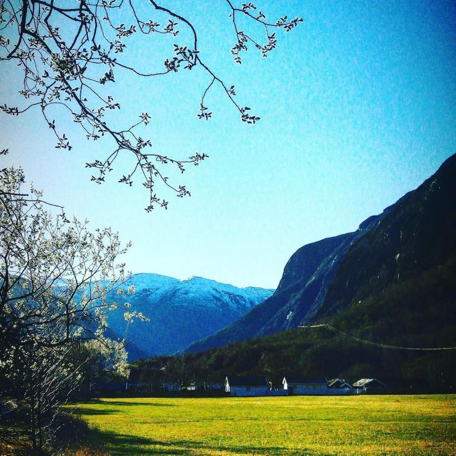 Aobrio Holidayhouse, Authentic Norwegian Farmhouse Close To Flam Laerdalsoyri Exterior photo