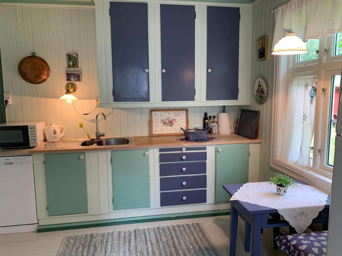 Aobrio Holidayhouse, Authentic Norwegian Farmhouse Close To Flam Laerdalsoyri Exterior photo